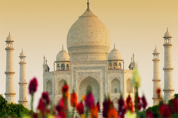 taj mahal sunrise tour from delhi